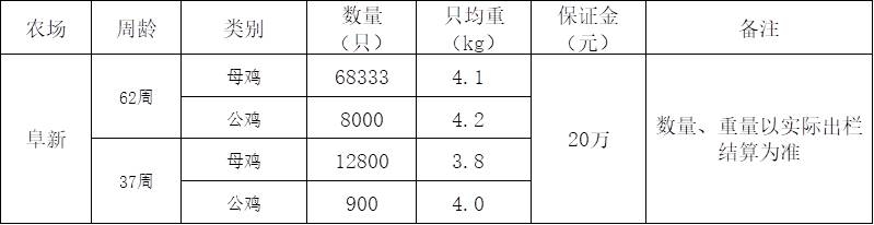 阜新全网担保网淘汰鸡.jpg